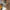 2427 - Micro Reel Lifestyle 2 2427 - Micro Reel Lifestyle 2
